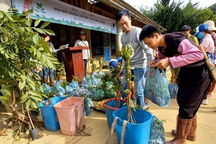 Gần 6.000 cây được trồng ở Vân Hồ, Sơn La nhân Ngày Môi trường thế giới.