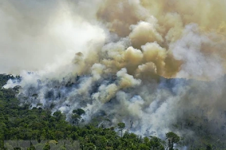 Khói bốc lên từ đám cháy rừng Amazon, Brazil. (Ảnh: AFP/TTXVN)