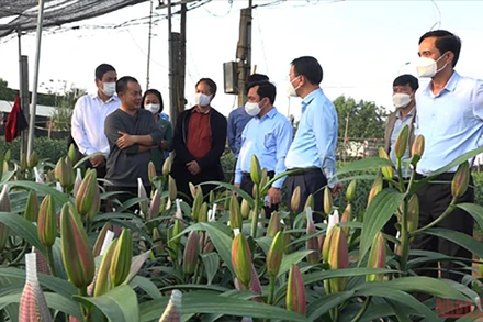 Lãnh đạo huyện Thạch Thất đi thăm mô hình sản xuất.