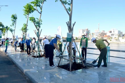 Trồng cây xanh trên tuyến đường dọc bờ sông Cà Ty, thành phố Phan Thiết.