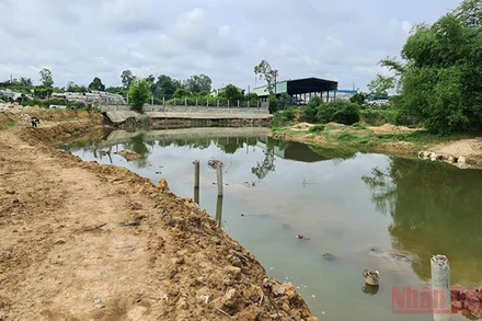 Khu vực đất Công ty TNHH Thái Bình lấn chiếm.