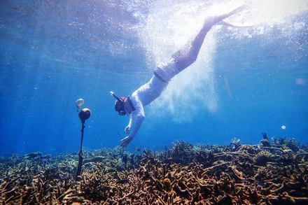 Một nhà nghiên cứu lắp đặt đầu thu sóng trong nước (hydrophone) ở biển thuộc quần đảo Spermonde, Indonesia. Ảnh: Tim Lamont, Đại học Exeter, Anh.