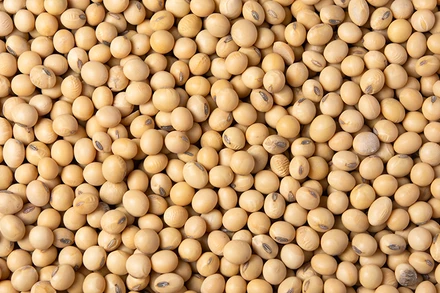 Kim loại cơ bản bất ngờ tăng giá mạnh, nông sản lấy lại đà tăng