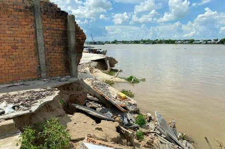 Khu vực sạt lở bờ sông Hậu đoạn qua thị trấn Vĩnh Thạnh Trung. 