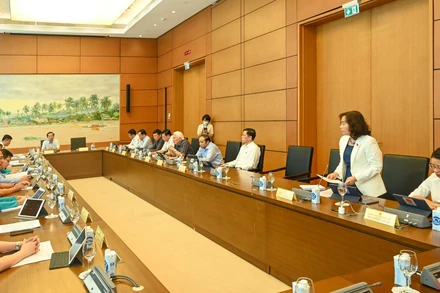 Các đại biểu Quốc hội trong phiên thảo luận tại tổ chiều 3/6. (Ảnh: LINH NGUYÊN) 