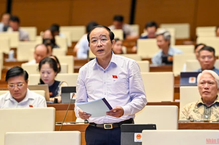 Đại biểu Lã Thanh Tân phát biểu tại phiên thảo luận của Quốc hội chiều 10/6. (Ảnh: LINH NGUYÊN)