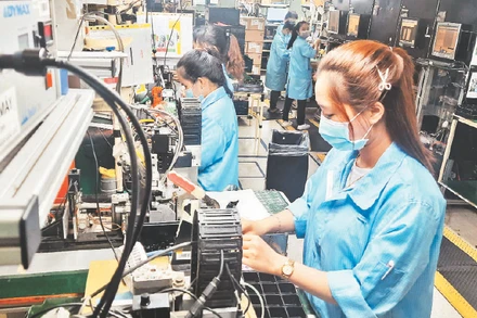 Lao động ở Công ty TNHH Datalogic Việt Nam, khu công nghiệp công nghệ cao Thành phố Hồ Chí Minh (Ảnh minh họa: Khánh Trình).