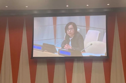 Đại sứ Nguyễn Phương Trà, Đại biện lâm thời Việt Nam tại Liên hợp quốc phát biểu. (Ảnh: Vietnam+)