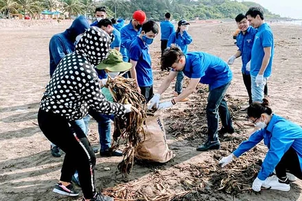 Đoàn viên thanh niên quận Đồ Sơn tham gia làm sạch bãi biển.