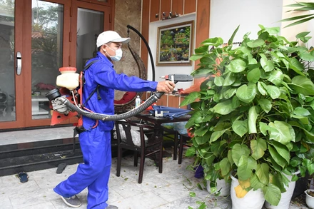 Đà Nẵng tăng cường phòng, chống bệnh sốt xuất huyết.