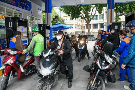 Ảnh: THÀNH ĐẠT