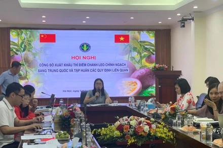 Cục Bảo vệ thực vật công bố xuất khẩu thí điểm chanh leo chính ngạch sang Trung Quốc chiều 7/7.