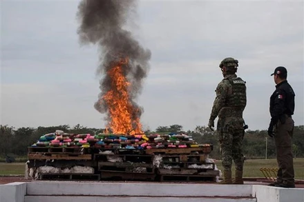 Binh sĩ Mexico thiêu hủy số ma túy thu giữ tại Veracruz (Mexico), ngày 16/1/2018. (Ảnh: AFP/TTXVN)