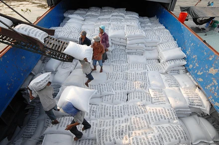 Chất lượng tốt giúp xuất khẩu gạo tăng cao về giá trị.