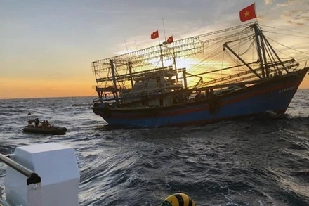 Ảnh minh họa: TTXVN.