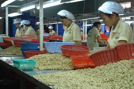 Doanh nghiệp gặp khó trong tìm đơn hàng xuất khẩu hàng hóa.