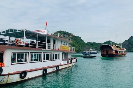 Tàu du lịch đã được yêu cầu dừng hoạt động trên vịnh Cát Bà từ 17 giờ chiều 2/7.