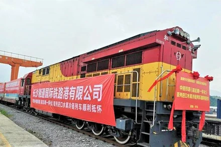 Chuyến tàu liên vận chở 230 tấn thanh long Việt Nam đến Khu Logistics tây Hoài Hóa, Hồ Nam. (Ảnh: Chinanews.com)