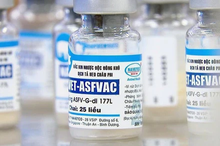 Vaccine phòng dịch tả lợn châu Phi. (Ảnh TTXVN)