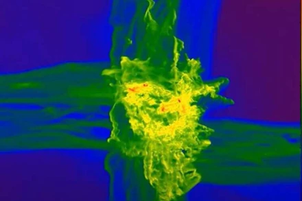Mô phỏng siêu máy tính về sự hình thành của một chuẩn tinh nguyên thủy. (Nguồn: Đại học Portsmouth)