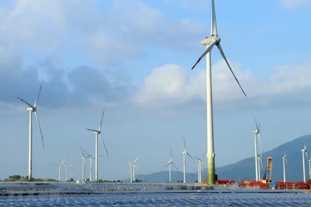 Trang trại điện gió Trung Nam tại huyện Thuận Bắc. (Ảnh: TTXVN)