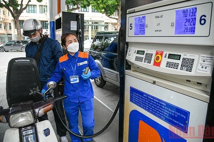 Ảnh minh họa: Thành Đạt.