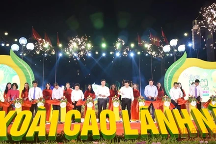 Khai mạc Lễ hội xoài Cao Lãnh.