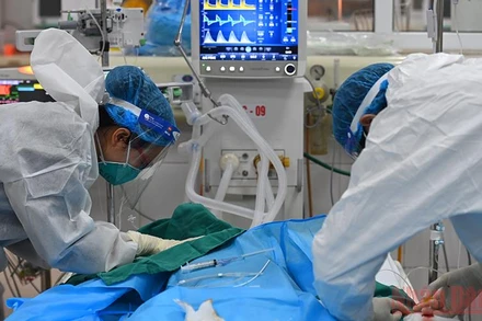 Ảnh minh họa: Thành Đạt.