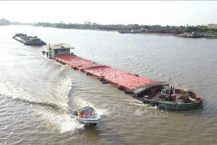 Ảnh minh họa. (Ảnh: TTXVN)