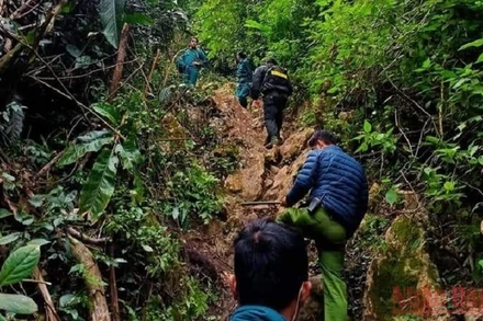 Các lực lượng đang nỗ lực truy bắt nghi phạm sát hại 2 người tại bản Sò Lườn.