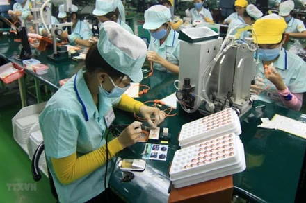 Ảnh minh họa. (Ảnh: TTXVN)