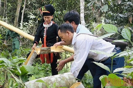 Cán bộ người Dao ở bản Vàng Ngần, xã Suối Quyền, huyện Văn Chấn, Yên Bái, cùng người dân sản xuất, phát triển kinh tế ở địa phương (Ảnh minh họa: Thanh Sơn).