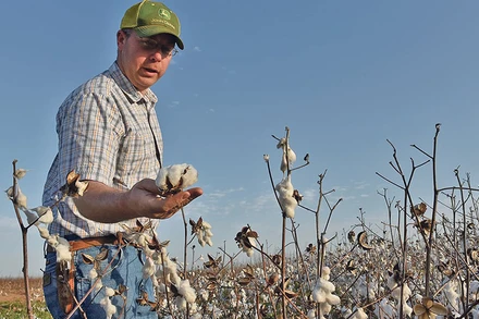 Ảnh minh họa. (Reuters)
