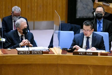 Đại biện lâm thời Việt Nam tại LHQ trong phiên họp Hội đồng Bảo an. Ảnh: Liên hợp quốc