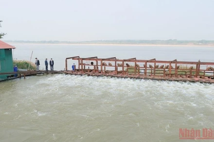 Các đơn vị thủy lợi ở Hà Nội vận hành trạm bơm lấy nước phục vụ gieo cấy vụ đông xuân.