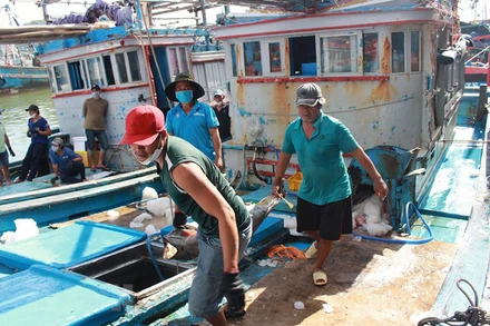 Cá ngừ đại dương nặng hơn 4 kg phải 2 người bê vác mới đưa được từ tàu lên bờ. (Ảnh: PHAN SÁU/TTXVN)