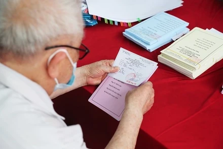 Cử tri đi bỏ phiếu. 