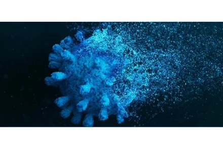 (Nguồn: sciencealert.com)