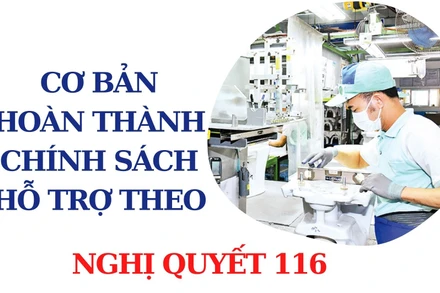 [Infographic] Cơ bản hoàn thành hỗ trợ theo Nghị quyết 116