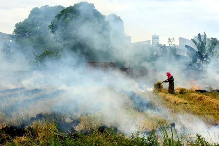 Đốt rơm rạ sau thu hoạch. (Ảnh minh họa: TTXVN)