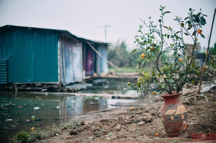 Những ngày cận Tết ở “xóm nhà phao”