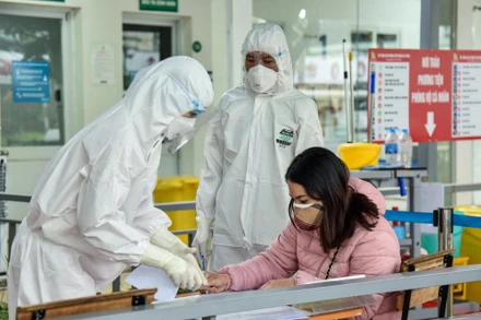 Ảnh minh họa: (THÀNH ĐẠT)