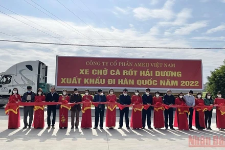 Cắt băng xuất khẩu lô cà rốt đầu tiên năm 2022 sang Hàn Quốc.