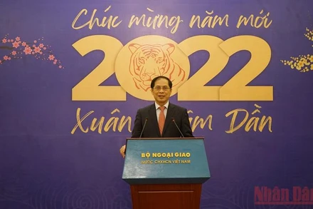 Bộ trưởng Ngoại giao Bùi Thanh Sơn phát biểu ý kiến tại cuộc gặp. (Ảnh: XUÂN TRƯỜNG)