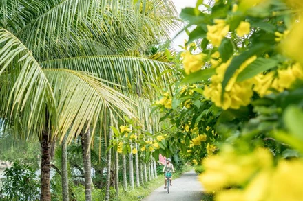 Một con đường tại Cần Thơ. Ảnh: TTXVN