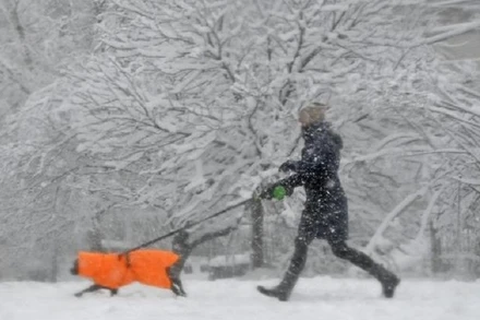 Tuyết rơi dày đặc tại Washington, D.C. (Mỹ) ngày 3/1/2022. (Ảnh: AFP/TTXVN)