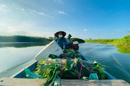 Cuộc sống “du mục” của người dân giữa bãi bồi sông Trà Khúc.