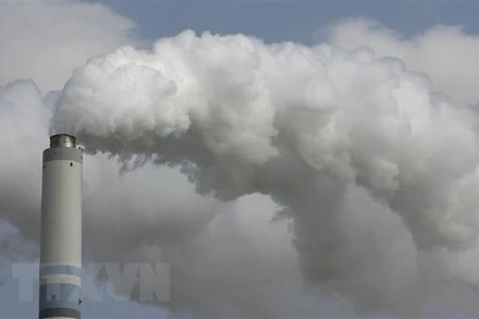 Ảnh minh họa. (Nguồn: Reuters/TTXVN)