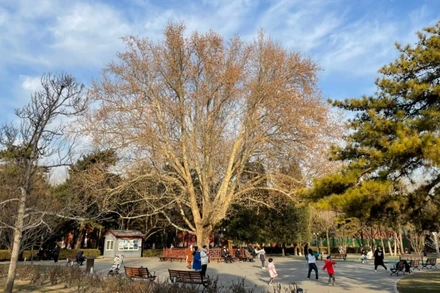 Trẻ em vui chơi ở Công viên Nhật Đàn, Bắc Kinh. (Ảnh: Phương Thảo)