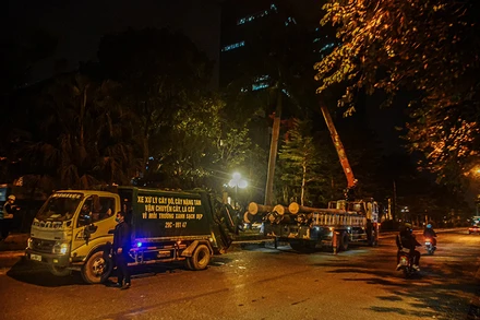 Đơn vị thi công đang thực hiện cắt tỉa, di chuyển cây xanh để phục vụ xén dải phân cách.